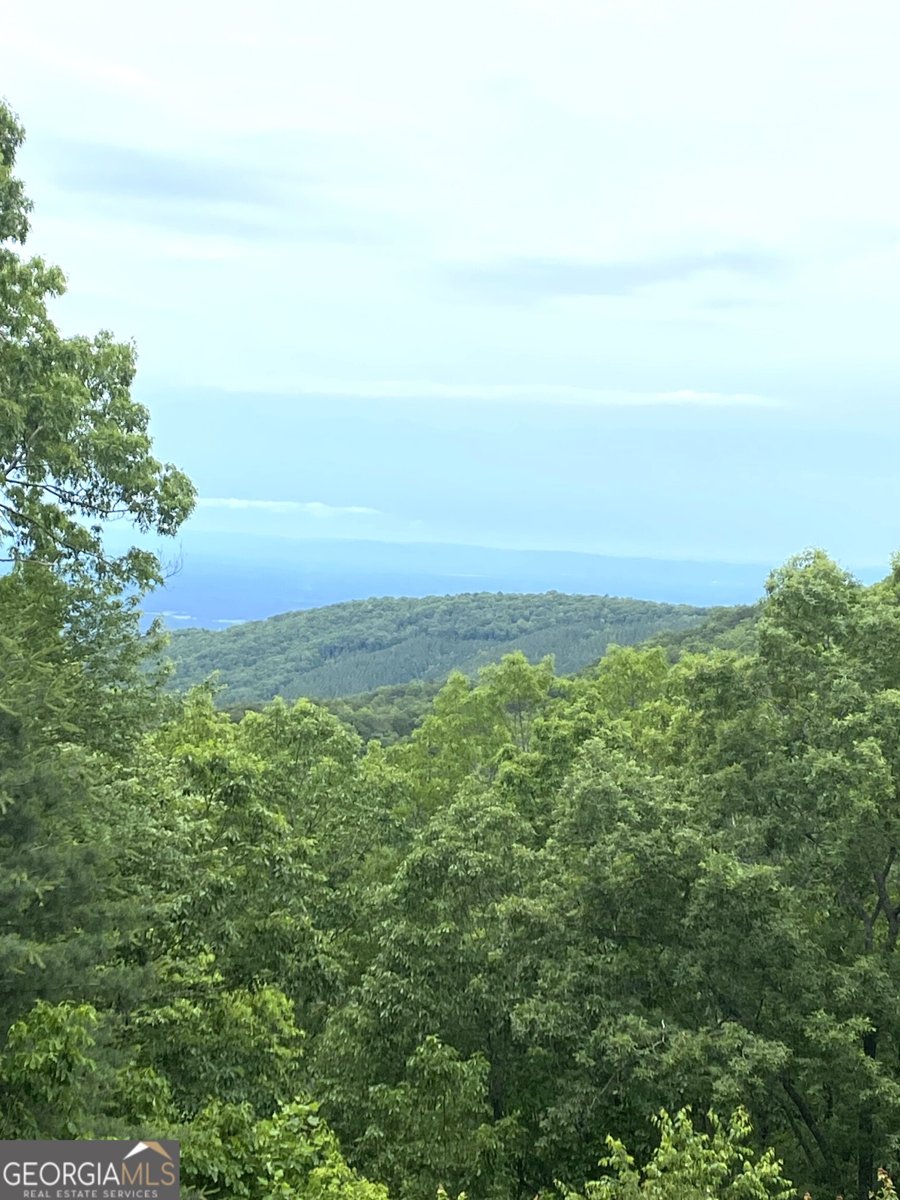 539 Dowel Circle Ellijay - 34