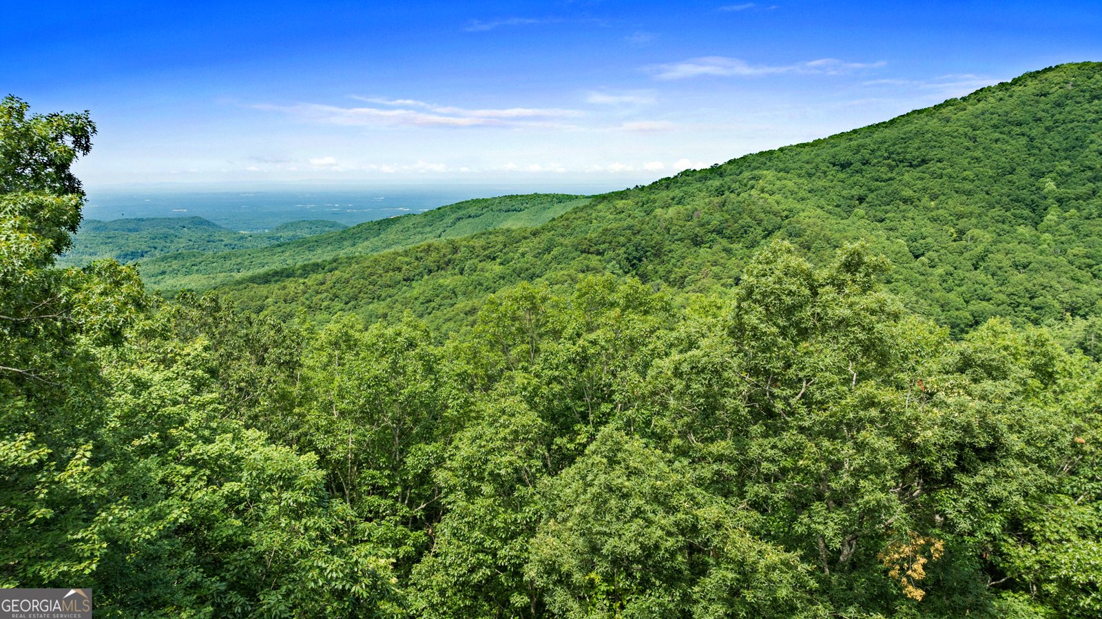 539 Dowel Circle Ellijay - 37