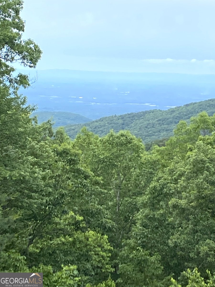 539 Dowel Circle Ellijay - 6