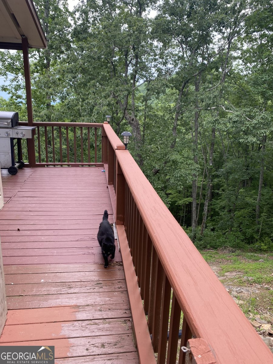 539 Dowel Circle Ellijay - 8