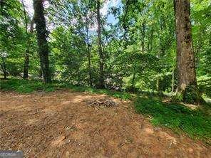 653 Pioneer Road Jasper - 10
