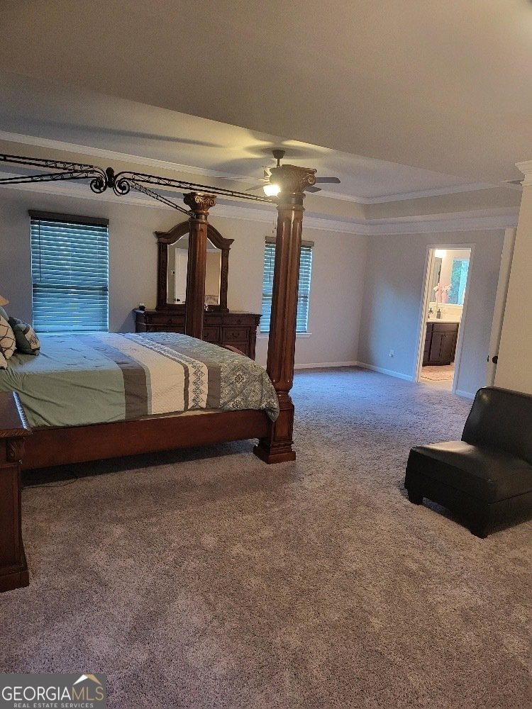 3675 Brookhollow Drive Douglasville - 22