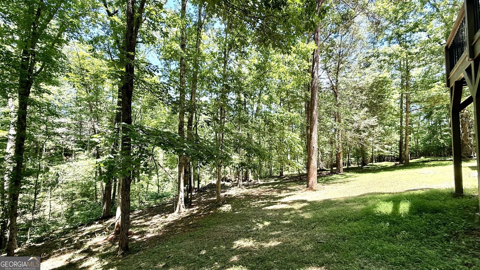 83 Austin Court Dahlonega - 20