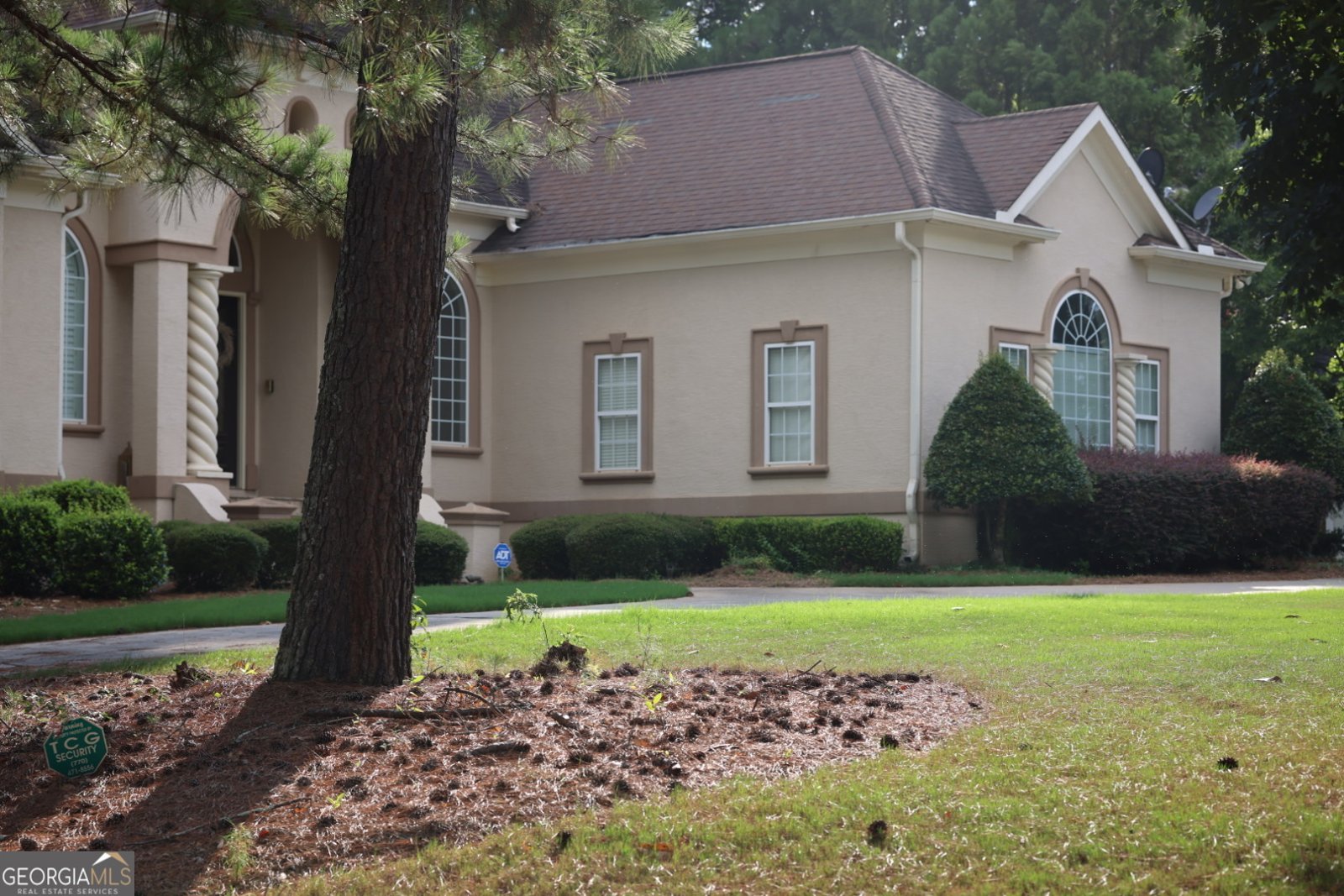 433 Abbey Springs Way Mcdonough - 100