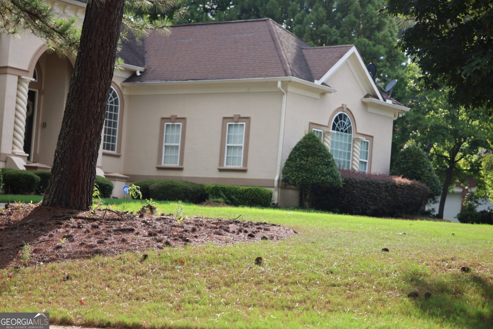 433 Abbey Springs Way Mcdonough - 101