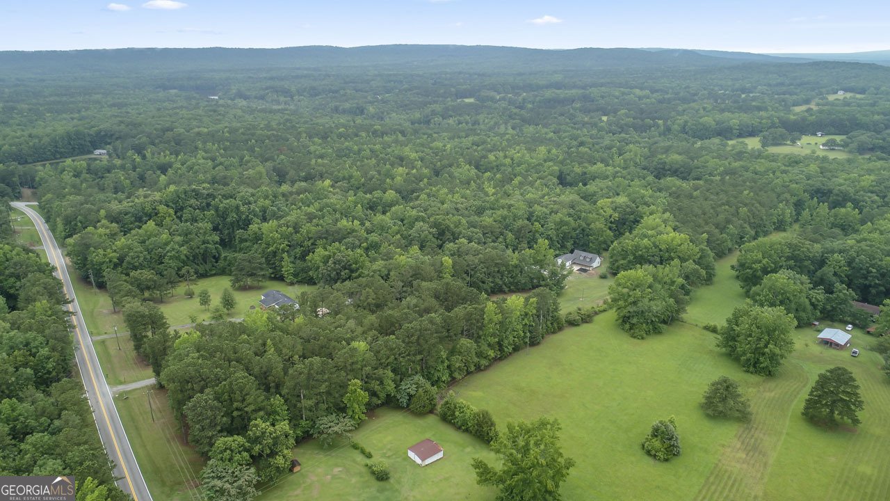 3250 Kings Road Meansville - 38