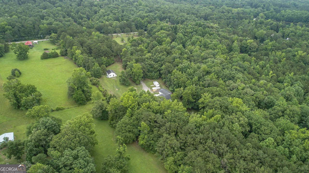 3250 Kings Road Meansville - 40
