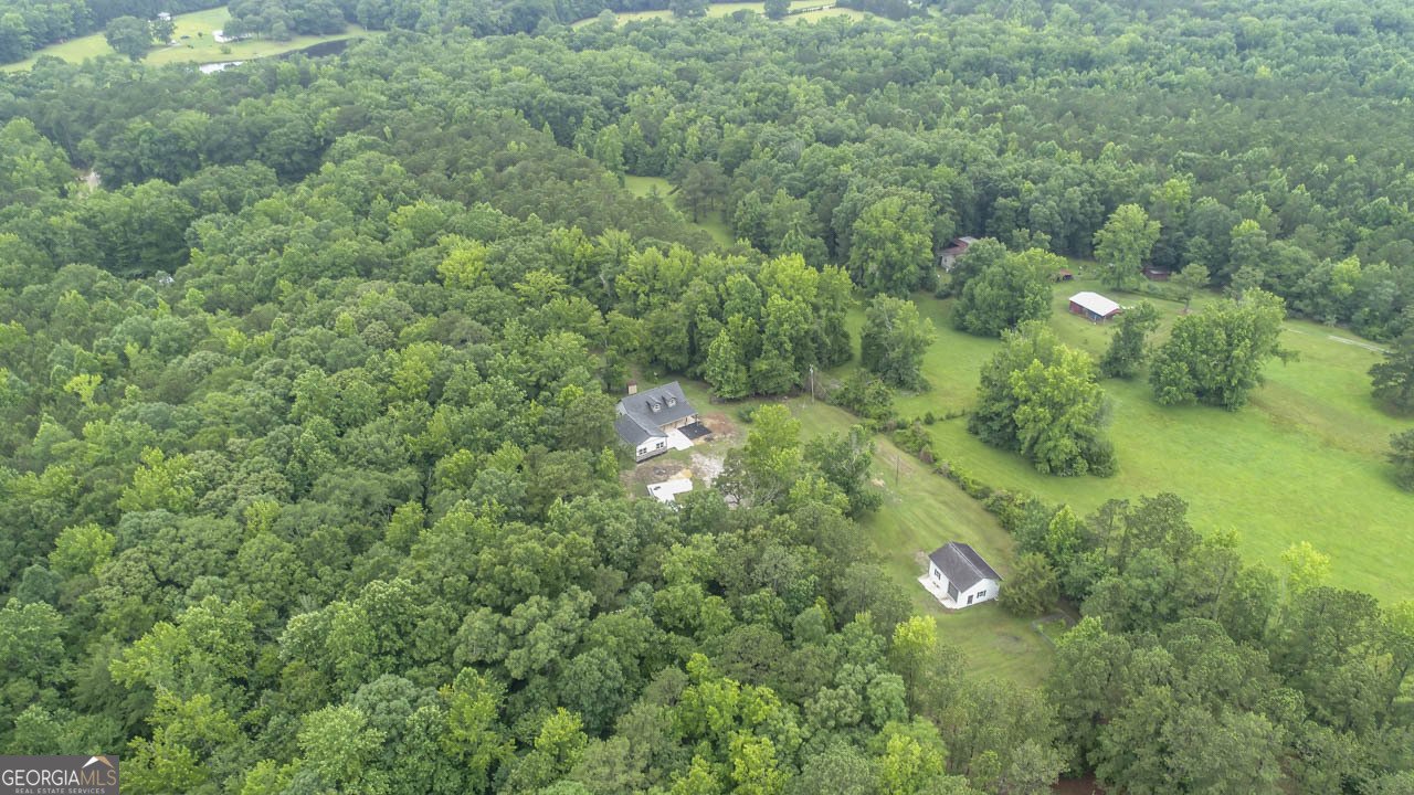 3250 Kings Road Meansville - 41