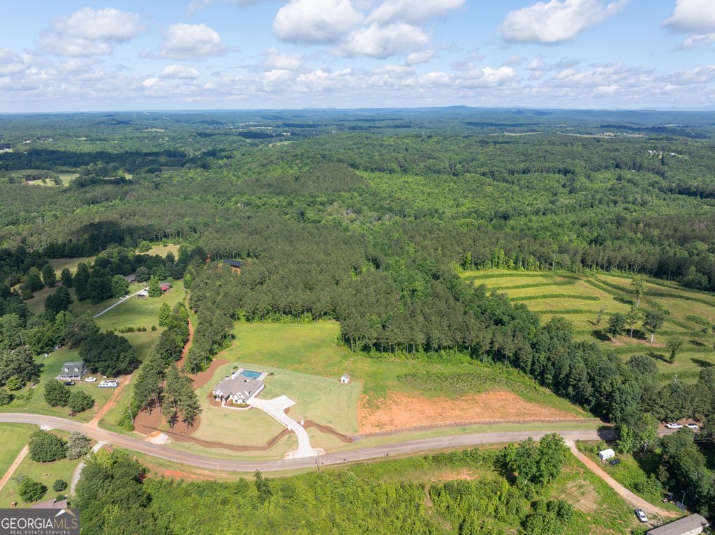 1791 McFarlin Bridge Road Carnesville - 19