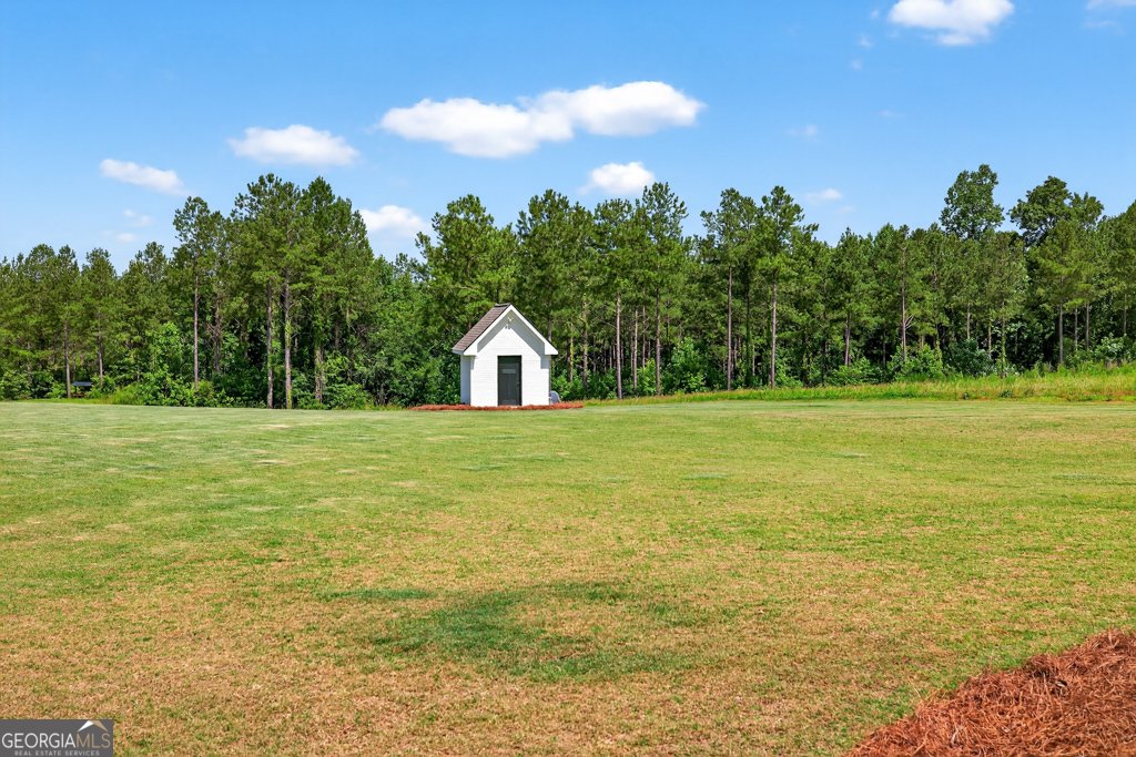 1791 McFarlin Bridge Road Carnesville - 9