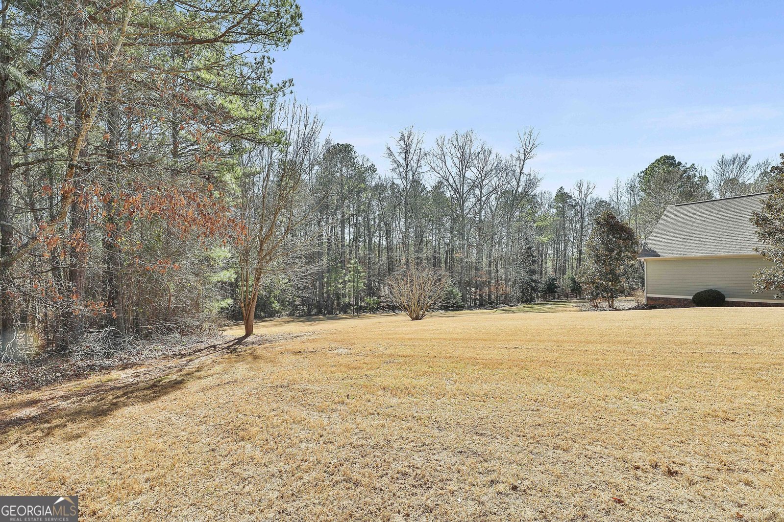 118 Fire Creek Trail Senoia - 38