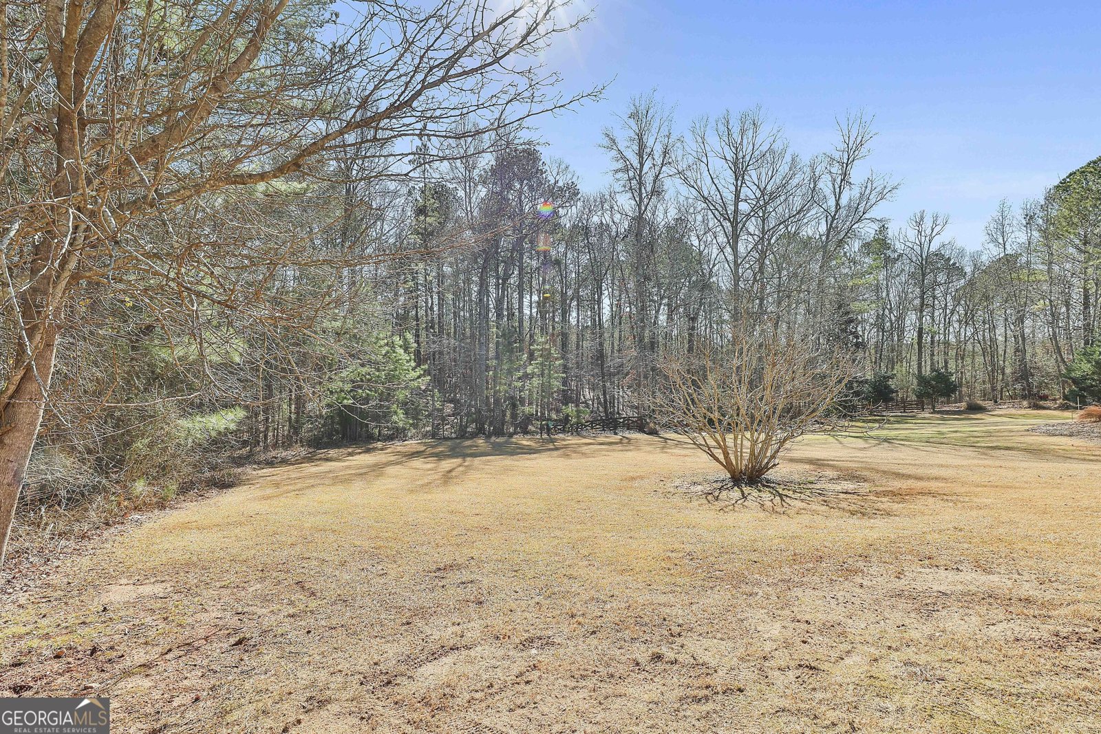 118 Fire Creek Trail Senoia - 39