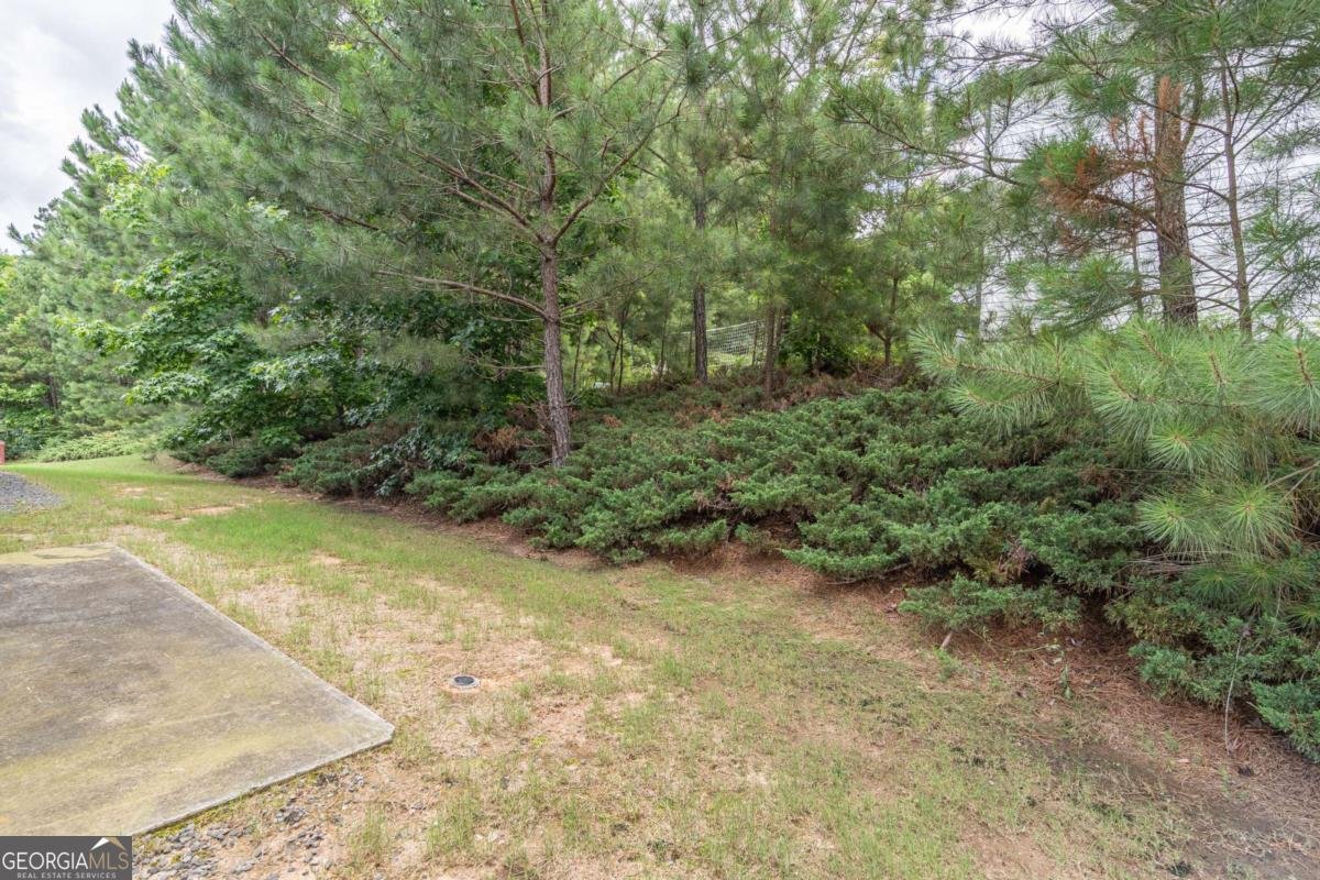 3906 Elm Trace Court Loganville - 37