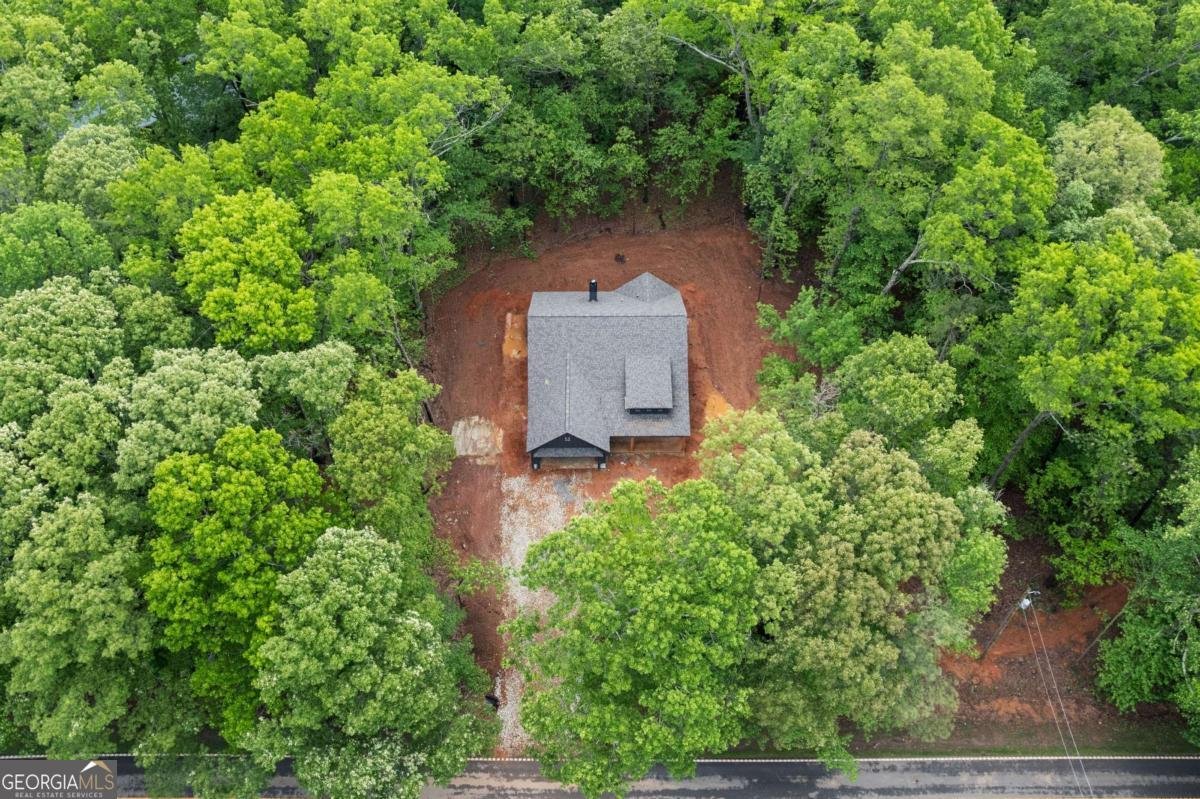 1687 Harmony Road Temple - 8
