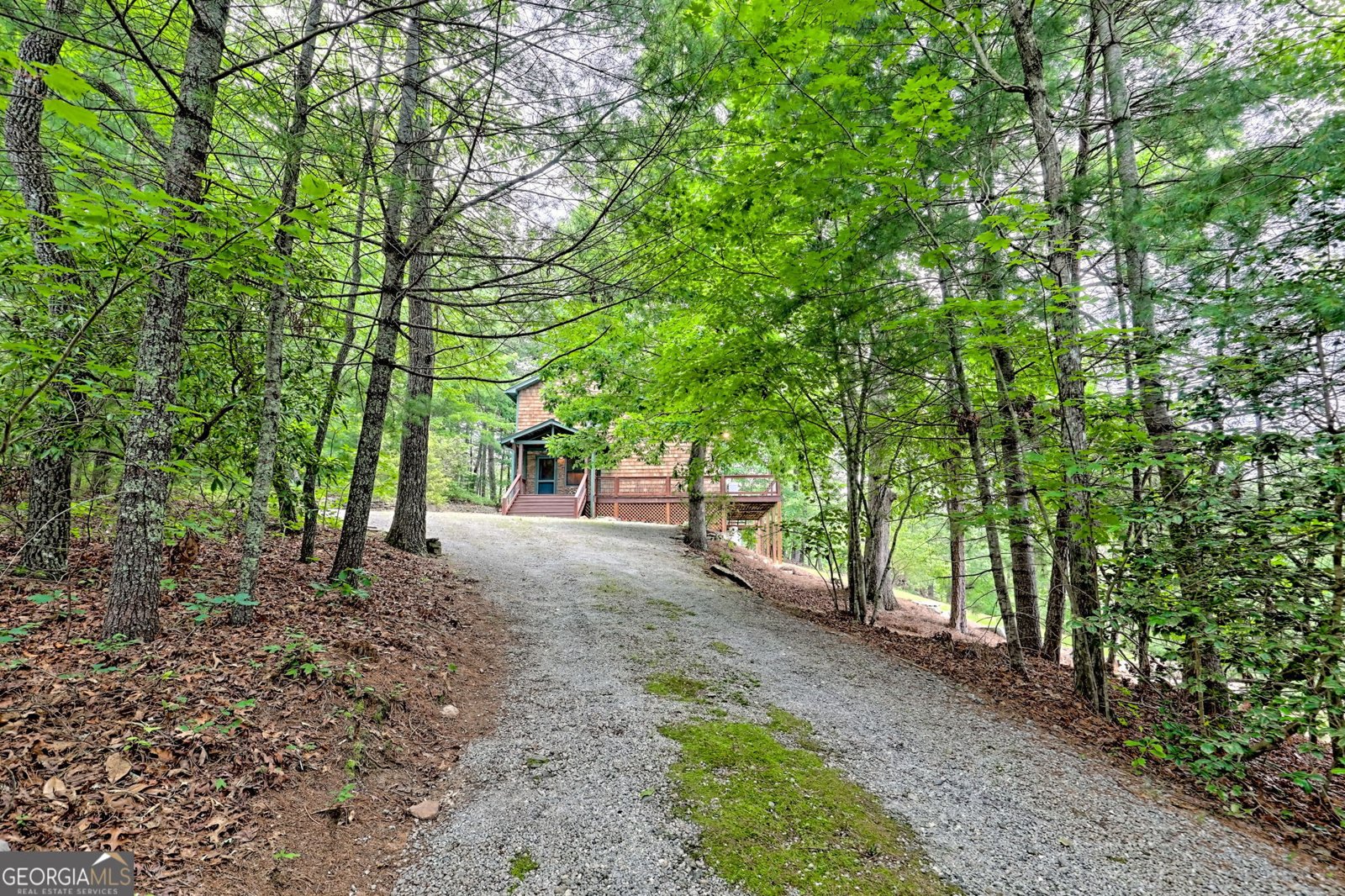 107 Oasis Ridge Road Lakemont - 4