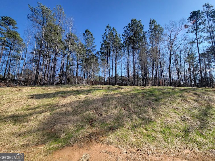 80 Heyman Drive Covington - 27