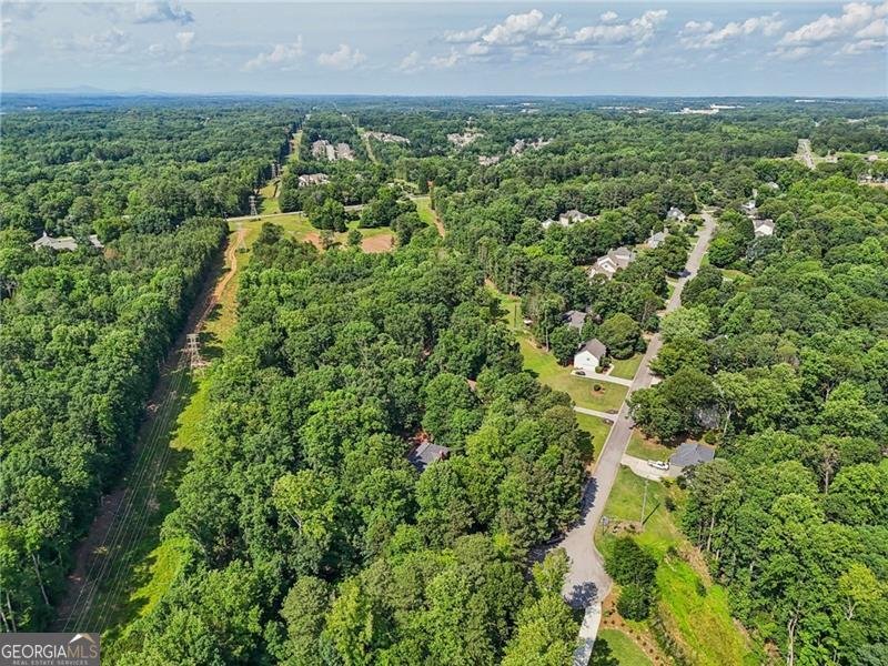6030 Terrace Lake Point Flowery Branch - 85
