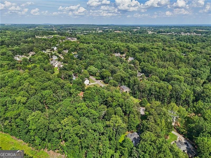 6030 Terrace Lake Point Flowery Branch - 86