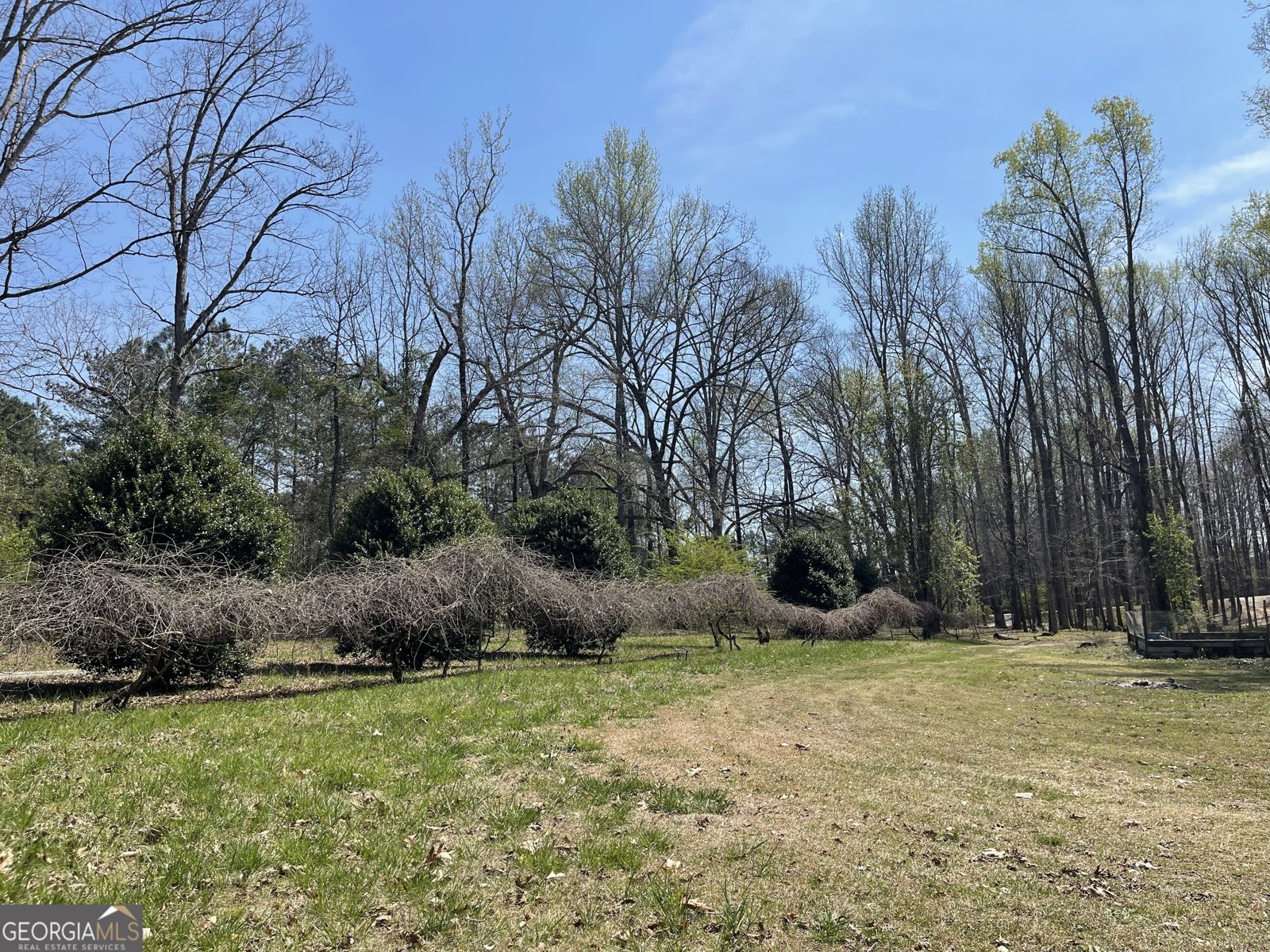 4389 & 4381 Campbell Road Snellville - 7
