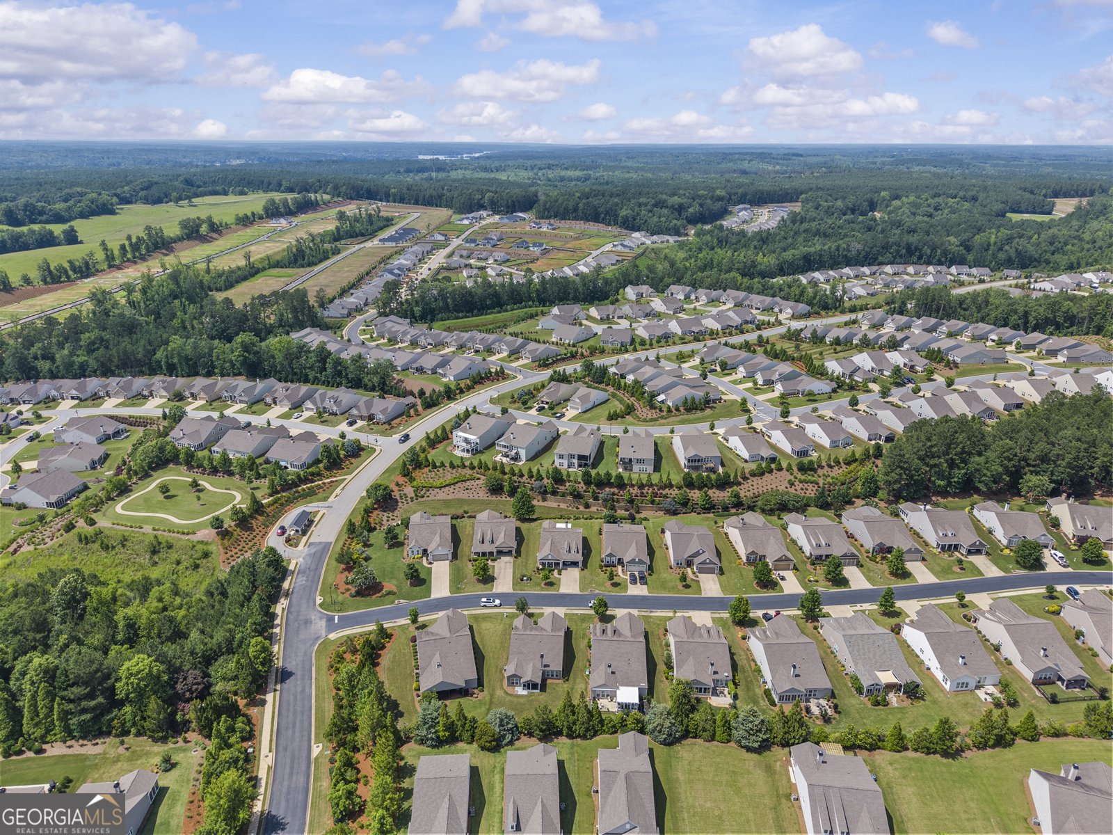 1021 Branch Creek Way Greensboro - 47