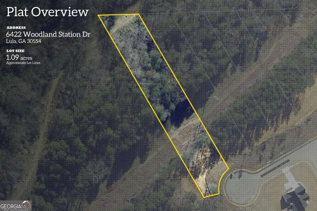 6422 Woodland Station Drive Lula - 42