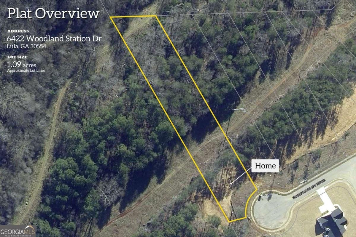 6422 Woodland Station Drive Lula - 43