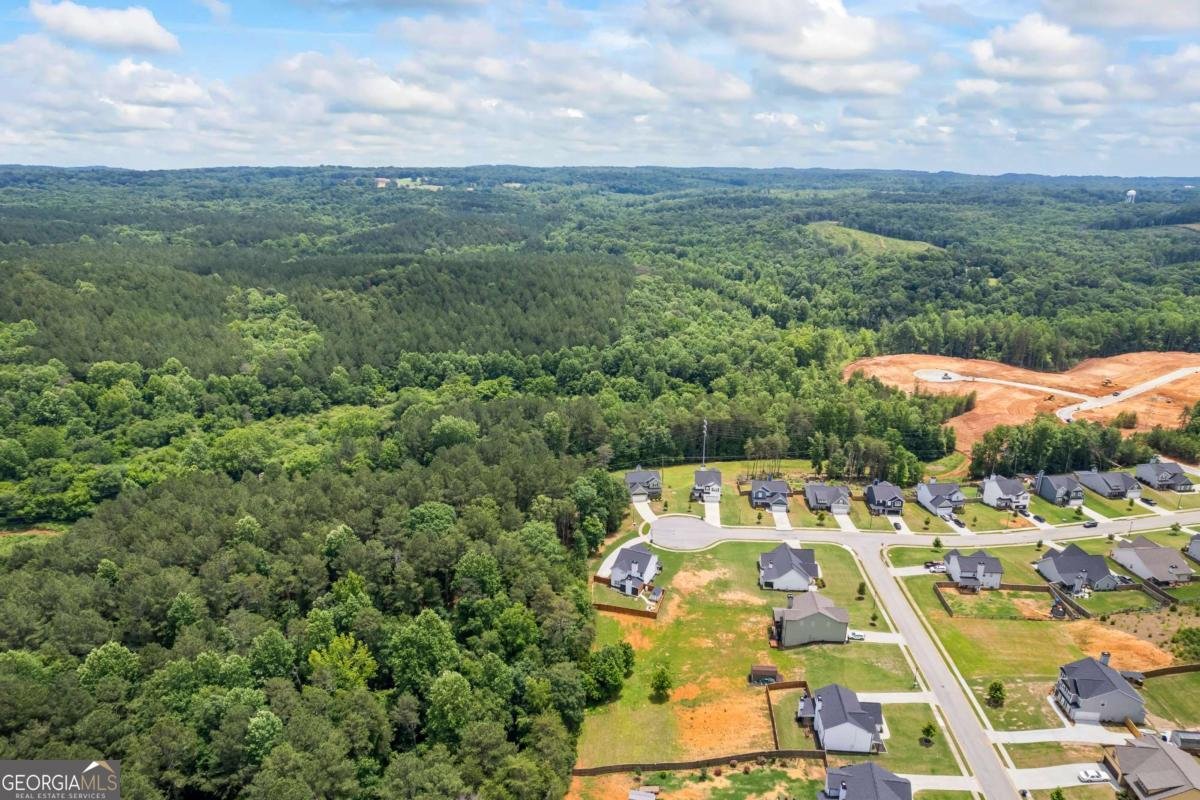 6422 Woodland Station Drive Lula - 46