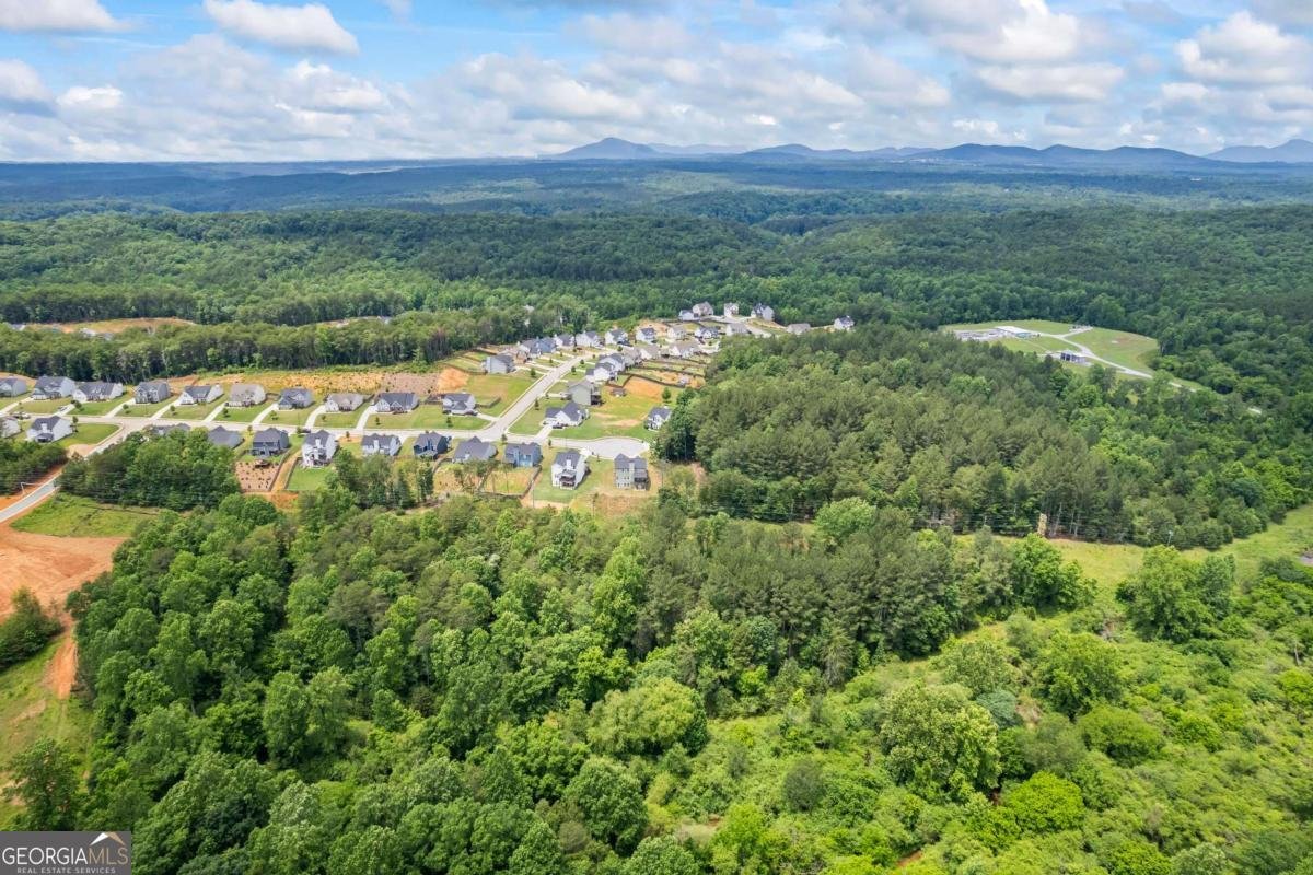6422 Woodland Station Drive Lula - 47