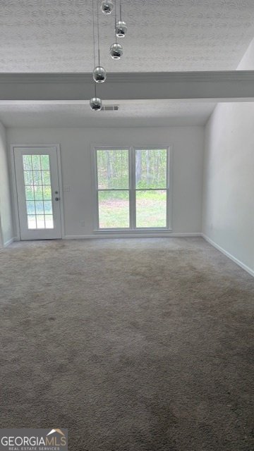 3510 Hog Mountain Road Dacula - 11