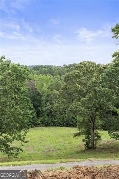2265 Mount Carmel Road Newnan - 1