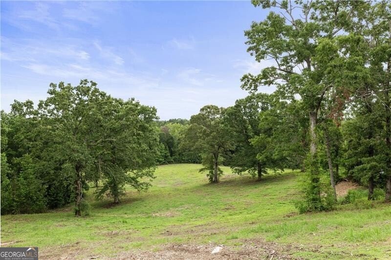 2265 Mount Carmel Road Newnan - 10