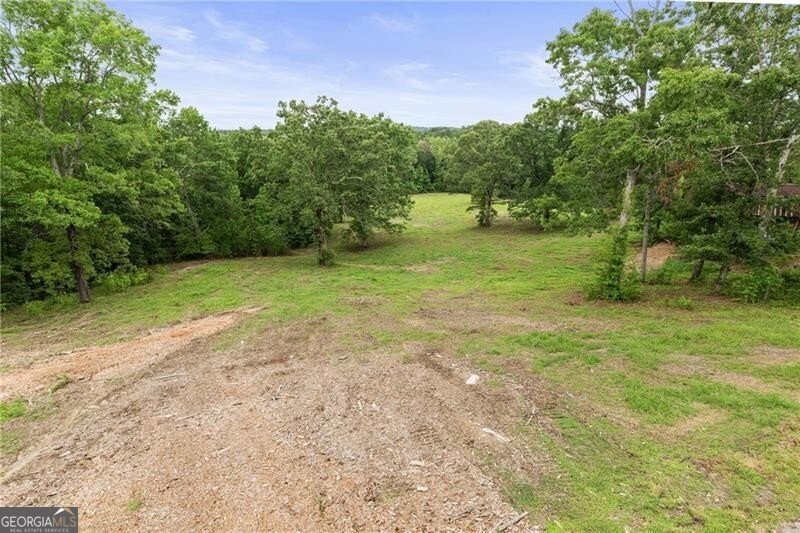 2265 Mount Carmel Road Newnan - 11