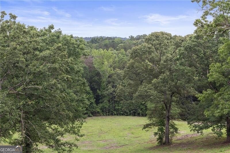 2265 Mount Carmel Road Newnan - 12