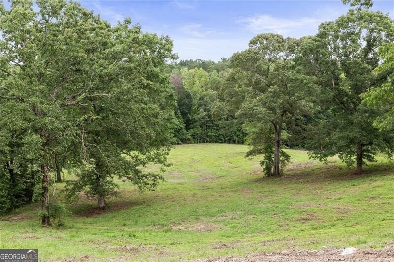 2265 Mount Carmel Road Newnan - 14