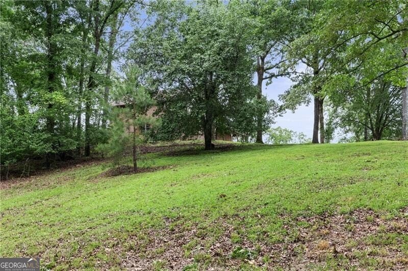 2265 Mount Carmel Road Newnan - 3