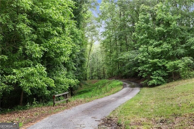 2265 Mount Carmel Road Newnan - 4