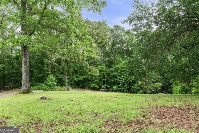 2265 Mount Carmel Road Newnan - 8
