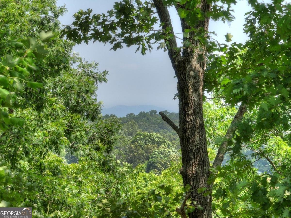 558 Tipton Springs Road Morganton - 26