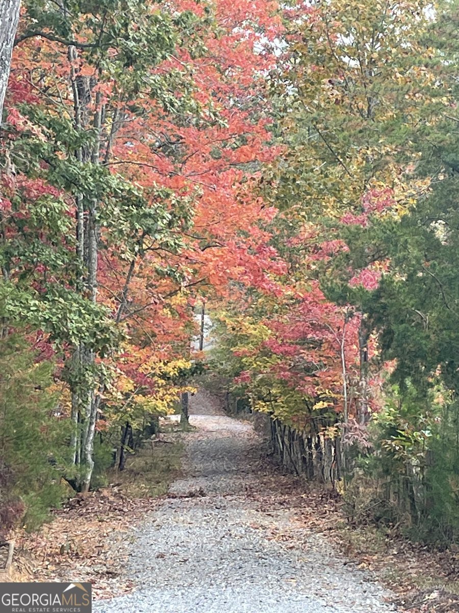 558 Tipton Springs Road Morganton - 66