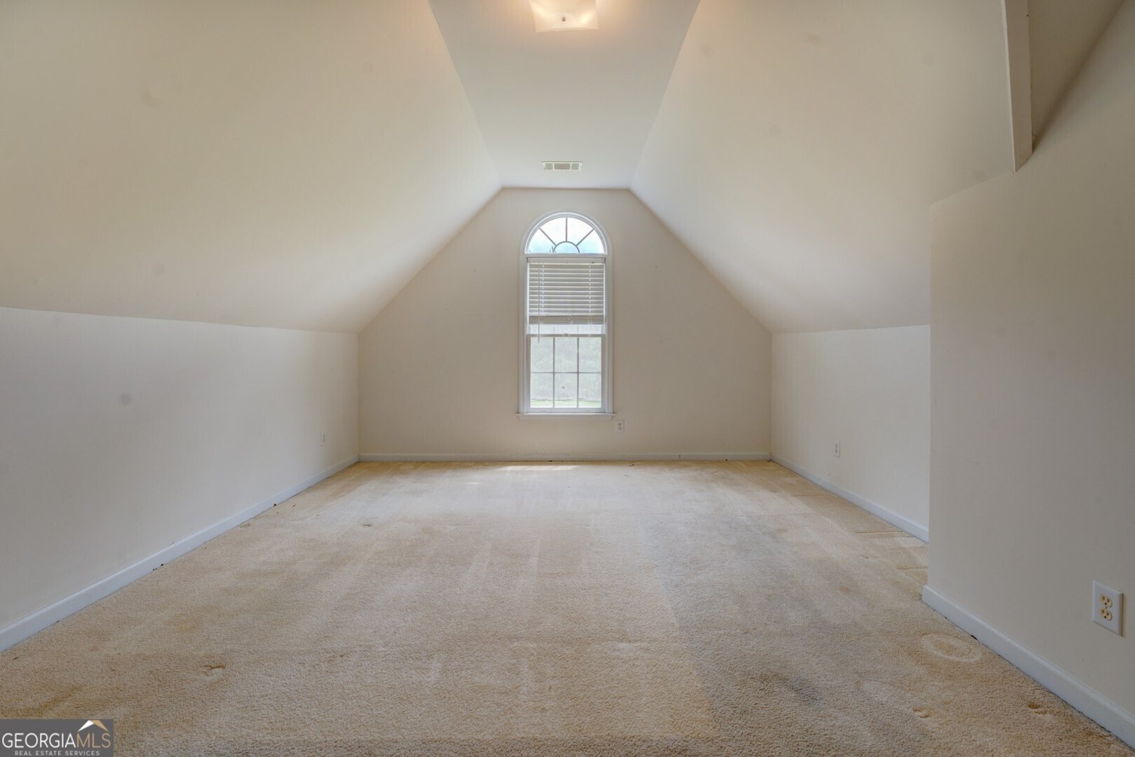 235 Rustic Mill Lane Fayetteville - 43