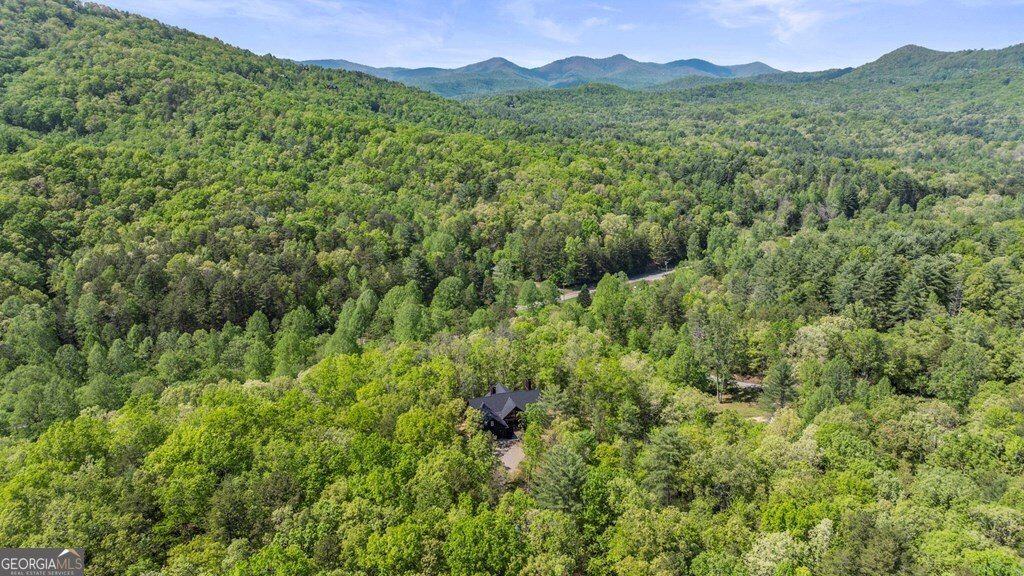 595 Arp Road Mineral Bluff - 45