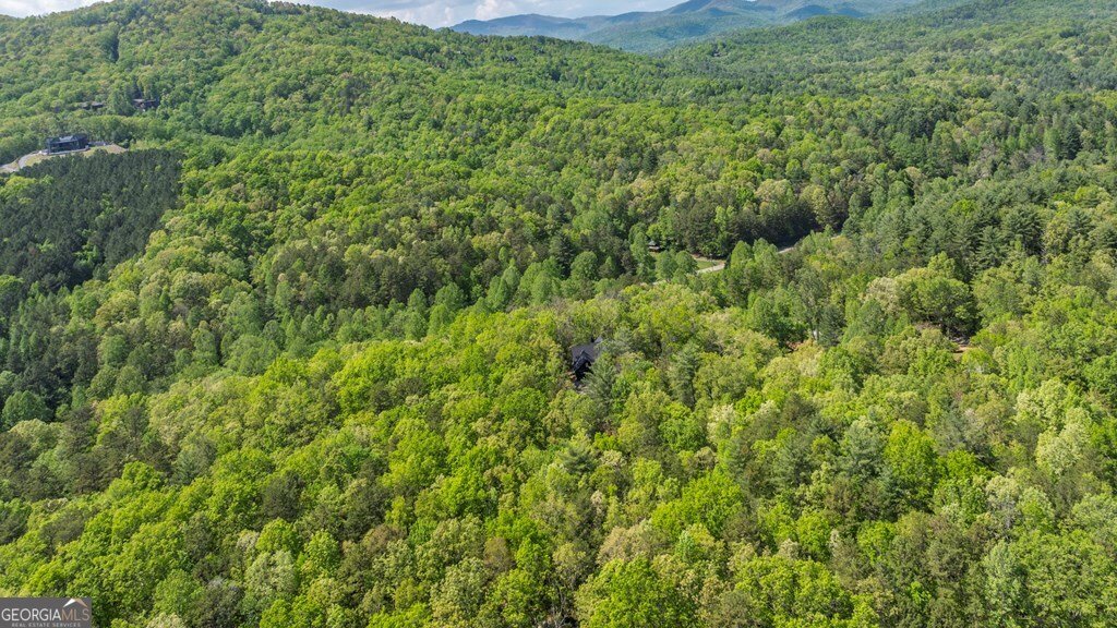 595 Arp Road Mineral Bluff - 46