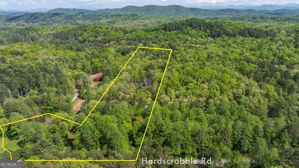 595 Arp Road Mineral Bluff - 55