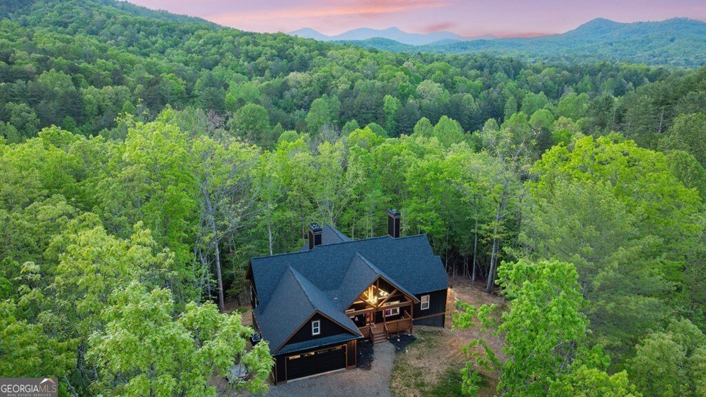 595 Arp Road Mineral Bluff - 58