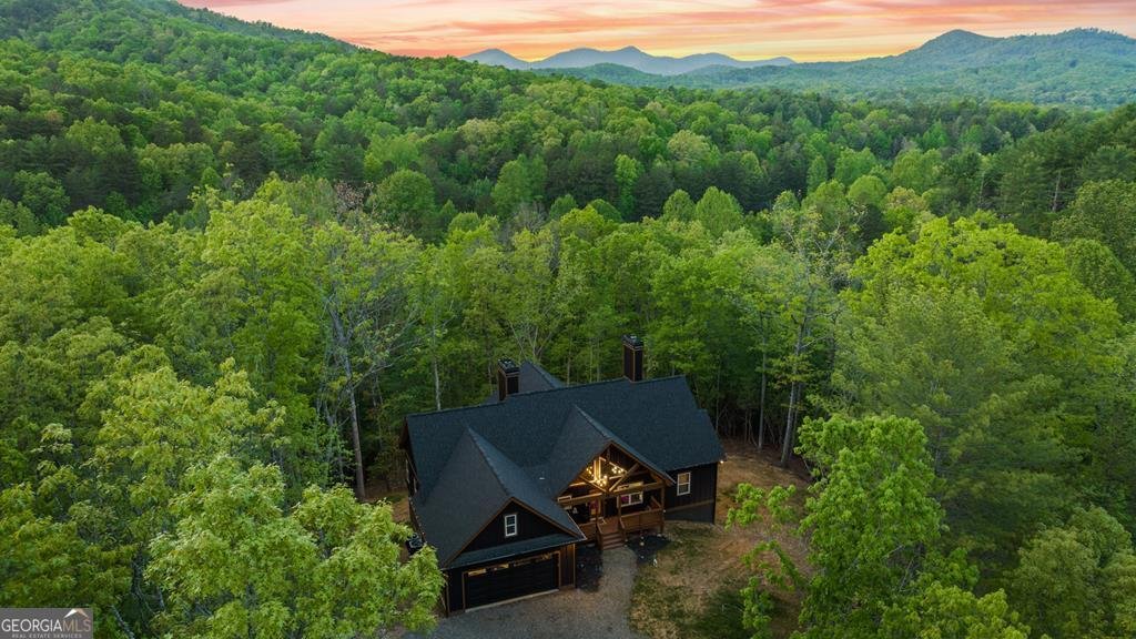 595 Arp Road Mineral Bluff - 6
