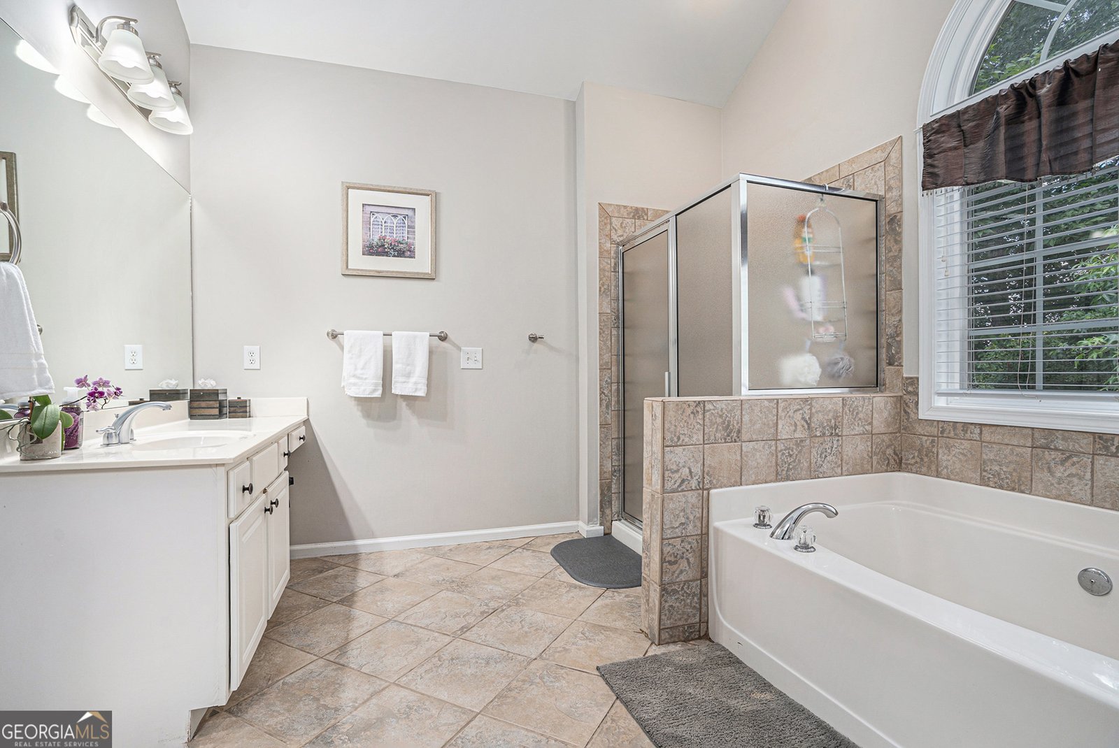 223 Sterling Brook Lane Canton - 23