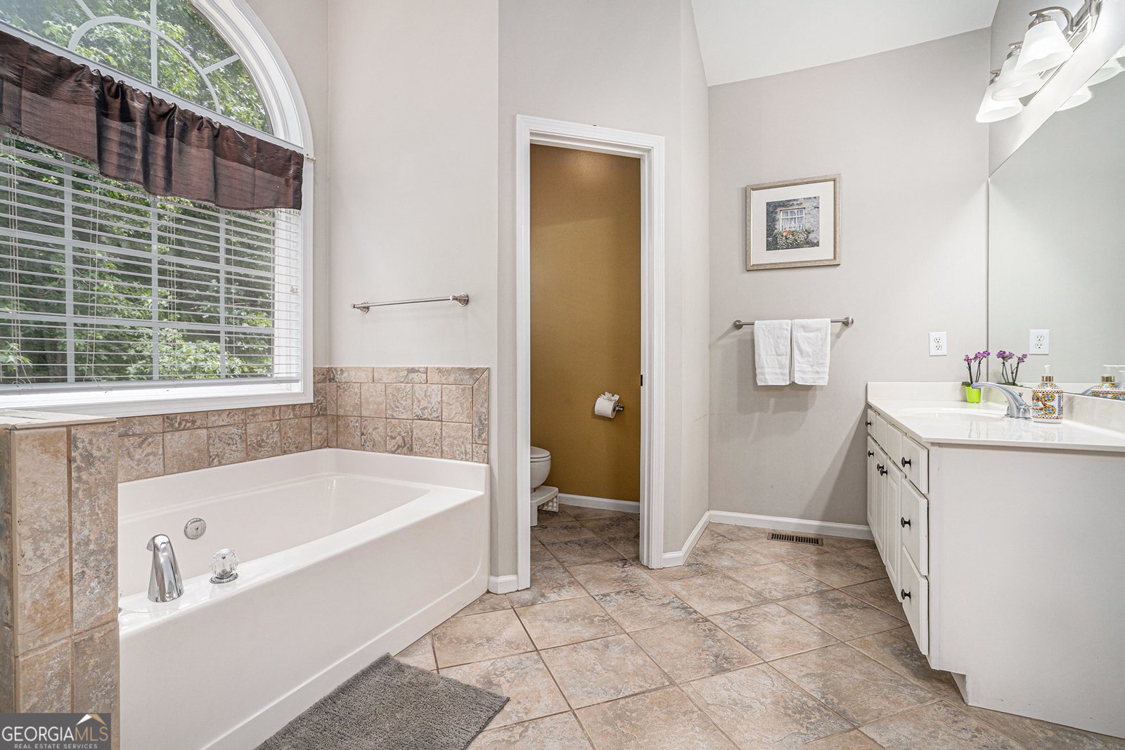 223 Sterling Brook Lane Canton - 24