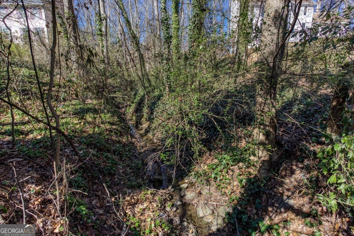 5050 Brownwood Drive Powder Springs - 59