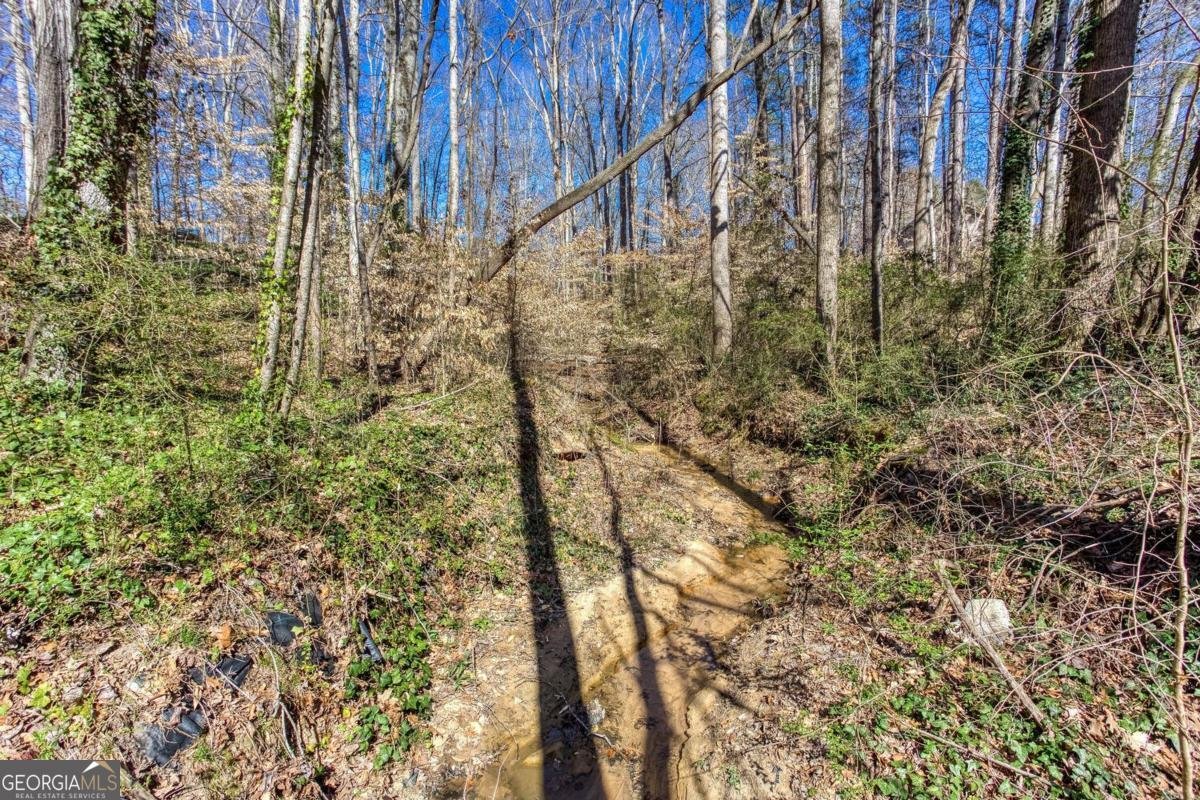 5050 Brownwood Drive Powder Springs - 60