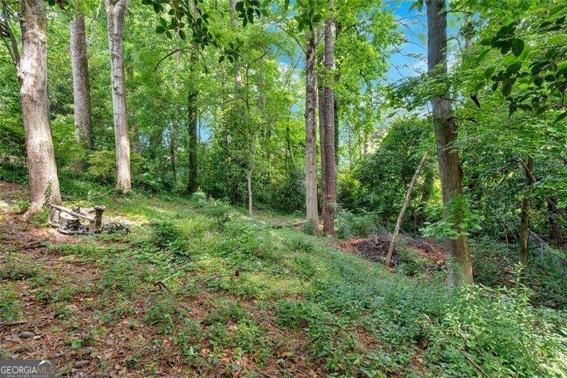 1618 Mason Mill Road Atlanta - 53